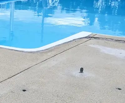 Pool Deck Leveling Near Me